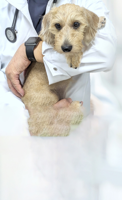 キービジュアル