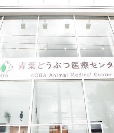 青葉どうぶつ医療センター