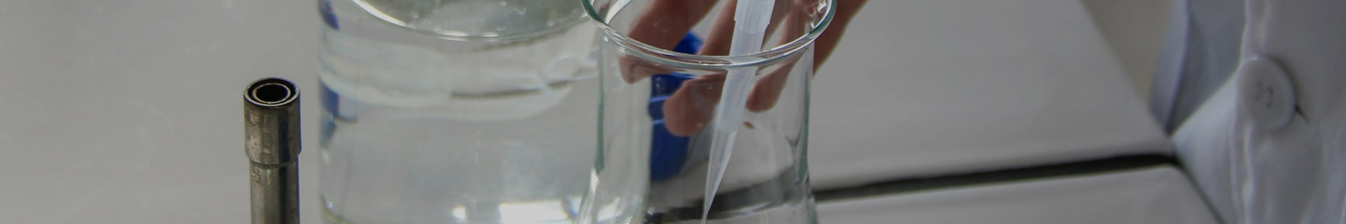 バックナンバー