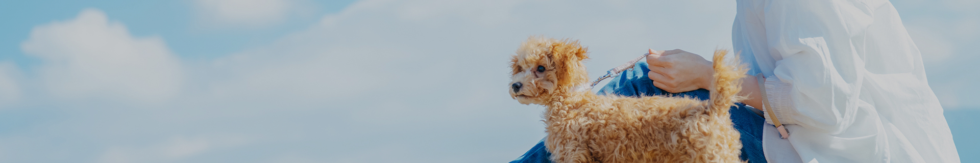 エントリーフォーム