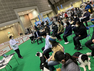 伴侶動物のがん診断と治療に挑む