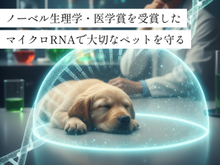 高精度判定を実現するマイクロRNA解析